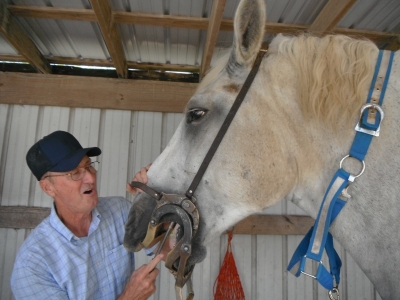 Big Mack sees the equine dentist