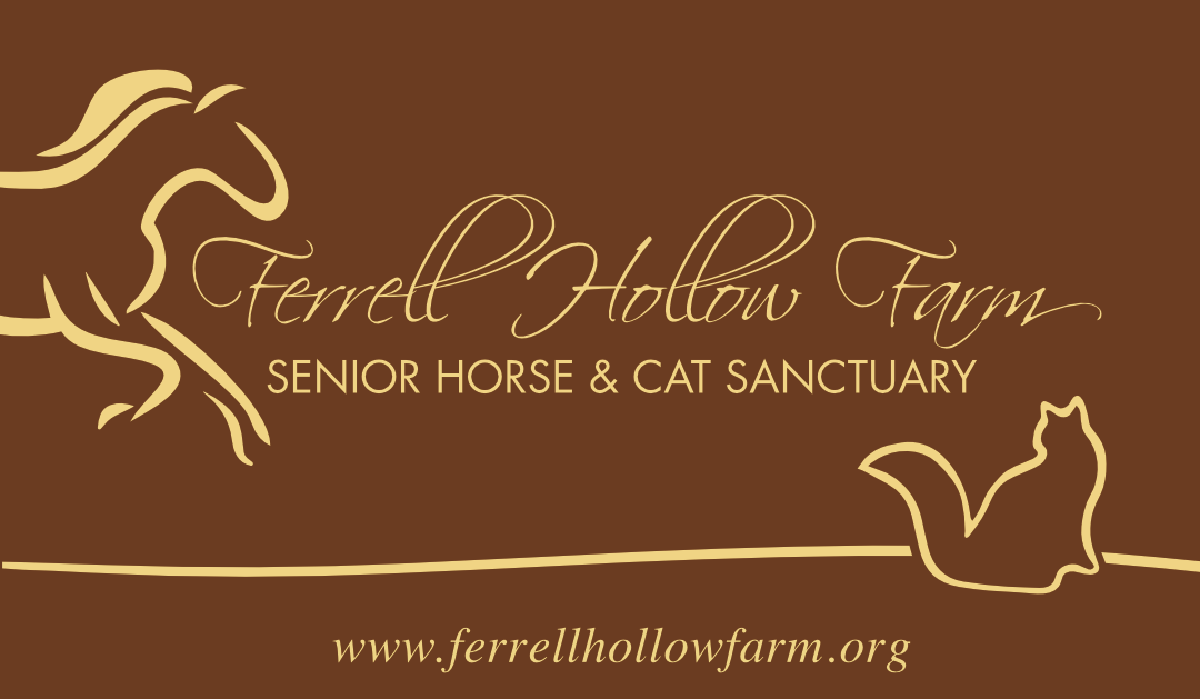 FHFSHCS Logo 2021