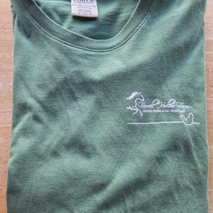T-shirt-Short Sleeve-Green